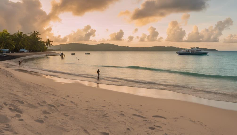 Systèmes d'alerte en Martinique pour la sécurité des maisons